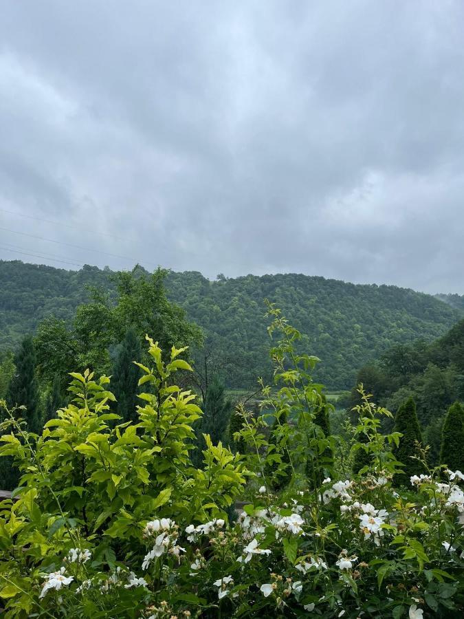 Villa Nature Bihać Esterno foto