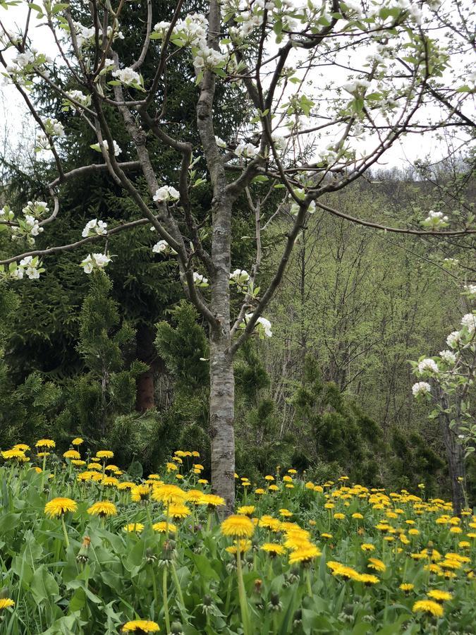 Villa Nature Bihać Esterno foto
