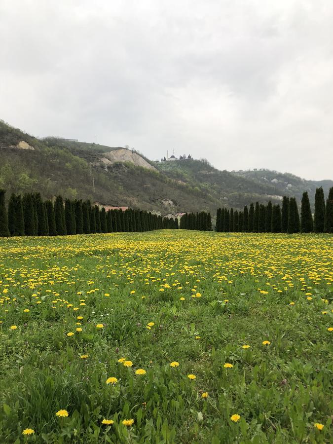 Villa Nature Bihać Esterno foto